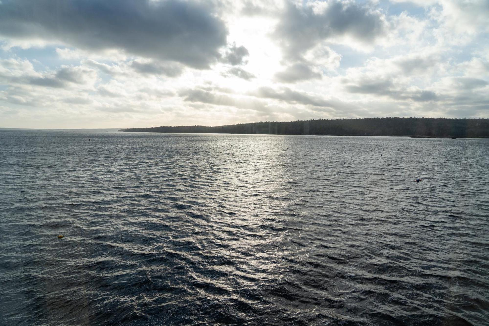 Albert'S Shelburne Dış mekan fotoğraf