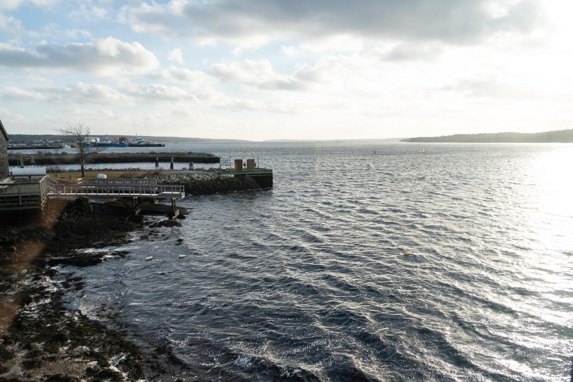 Albert'S Shelburne Dış mekan fotoğraf